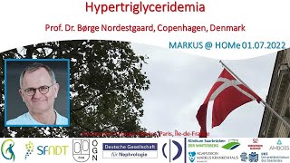 Hypertriglyceridemia  Prof Nordestgaard Copenhagen Denmark [upl. by Allegna71]