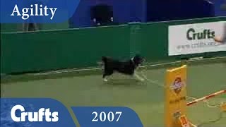 Crufts 2007 Agility  Medium [upl. by Cristiano896]