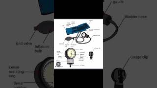 Parts of sphygmomanometer BP apparatus medical shorts [upl. by Naired593]