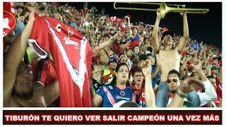 Tiburones Rojos Porra Tiburón te Quiero Ver Salir Campeón [upl. by Nawak]