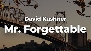 David Kushner  Mr Forgettable Official Audio [upl. by Aneral414]