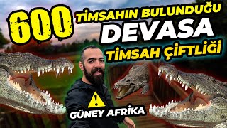 AFRİKADA 600 TİMSAHIN BULUNDUĞU DEVASA ÇİFTLİK [upl. by Elyse459]