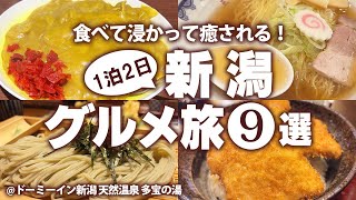 【新潟グルメひとり旅】新潟駅周辺！はじめての新潟で名物グルメを食べ歩き！モデルコース [upl. by Eittik56]