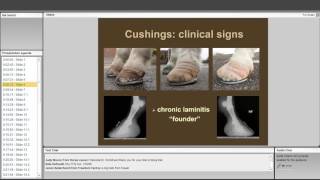 Equine Cushings Disease Challenges of Diagnosis and Treatment [upl. by Kneeland45]