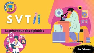 SVT BAC I Révision dihybridisme  Correction série dexercice n°2 [upl. by Farlie]