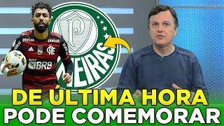 💥 MINHA NOSSA QUASE CAI DE COSTAS NINGUÉM ESPERAVA ESSA ÚLTIMAS NOTÍCIAS DO PALMEIRAS [upl. by Akiria]