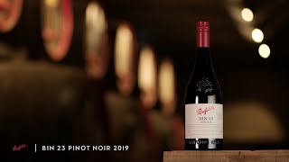 Meet our 2019 Bin 23 Pinot Noir  Penfolds [upl. by Zannini]