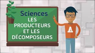 Sciences  Les producteurs et les décomposeurs [upl. by Casmey]