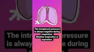 Intrapleural pressure [upl. by Halvaard464]