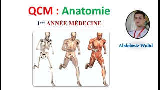 QCM  Anatomie 1 [upl. by Meelas607]