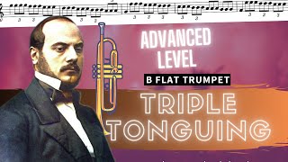 Bb 🎺 Jean Baptiste Arban  Triple tonguing trumpet advanced [upl. by Salvay]