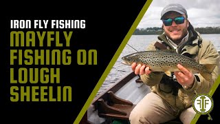 Mayfly fishing on Lough Sheelin  Iron Fly Fishing [upl. by Urbanna948]