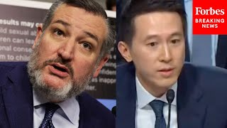 Ted Cruz Asks TikTok CEO Point Blank What Happened In Tiananmen Square At Child Safety Hearing [upl. by Jac]