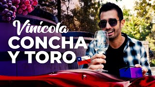 Vinícola Concha y Toro 4K  A mais FAMOSA do Chile  Passeios em Santiago [upl. by Yesnil]