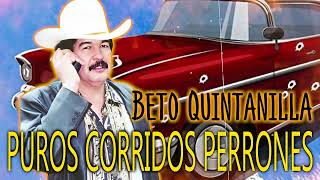 Beto Quintanilla  Corridos Perrones [upl. by Giliane]