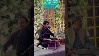 Shinwari Lawangeena ۔ ijazufaq [upl. by Nniroc720]