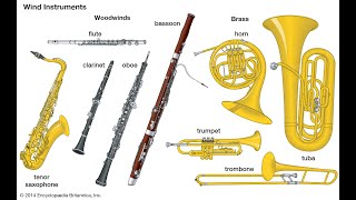 What are Brass and Woodwind Instruments [upl. by Ellery]