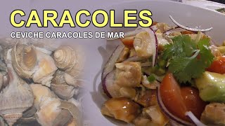 CEVICHE DE CARACOLES DE MARcomo hacerlo [upl. by Hayn]