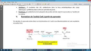 Métabolisme des glucides 2 [upl. by Lyckman]