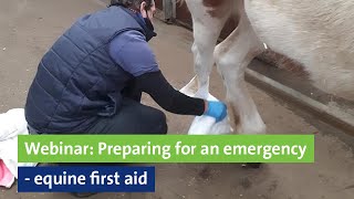 Webinar Preparing for an emergency equine first aid [upl. by Elliot]