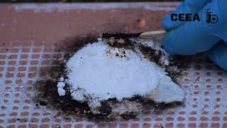 SUGAR OXIDATION WITH POTASSIUM NITRATE ROCKET PROPELLANT [upl. by Alyakam]