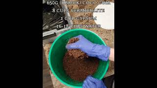 Grow Mushrooms At Home  CVG Coco Coir Vermiculite amp Gypsum [upl. by Tombaugh]