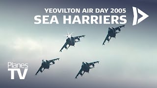 Sea Harrier Farewell Yeovilton Air Day 2005 [upl. by Pascasia586]