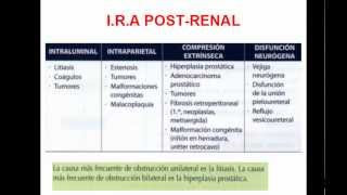 INSUFICIENCIA RENAL AGUDA PARTE 2 [upl. by Ettevy]