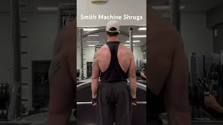 Smith Machine Shrugs backworkout trapworkout naturalbodybuilding bodybuilding [upl. by Morris]