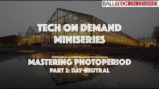 Mastering Photoperiod Part 2 DayNeutral Plants [upl. by Elrahc]