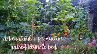 Permaculture productive raised keyhole bed  Garden Tour  Heirloom veggies flowers  Urban Farm [upl. by Otilegna522]