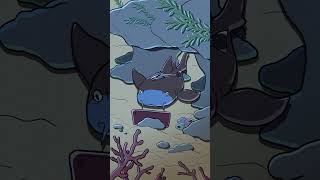 Nurse Shark 🏥🦈 animation original cartoon [upl. by Akayas]