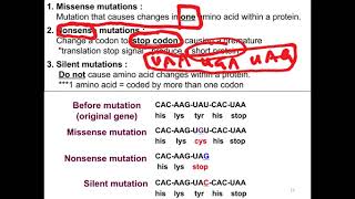 TOPIC 6  NOTE  MISSENSE NONSENSE amp SILENT MUTATION [upl. by Laenaj458]