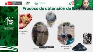 Producción y uso de biochar e inmovilización de Trichoderma [upl. by Arnaldo]