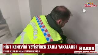 Hint keneviri yetiştiren zanlı yakalandı [upl. by Sral]