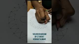 How to draw volvox diagram [upl. by Noland]