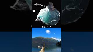 Physics High amp low Tides  Animation Explain shorts physics animation science viral tranding [upl. by Yatnuhs]