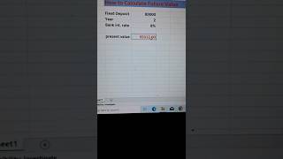 How to Calculate Future value  How to calculate interest on FD  excel [upl. by Aivekal]