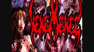 Vehemence  2001 Metal Blade Demo  She Never Noticed Me [upl. by Anemolihp]