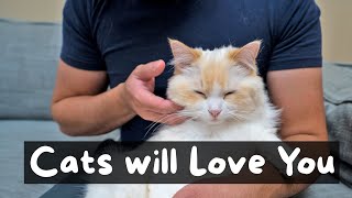 What is the Best Way to Pet a Cat 4 Step Tutorial  The Cat Butler [upl. by Daniela]