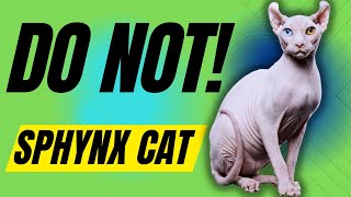 7 Reasons You Should NOT Get a Sphynx Cat [upl. by Otrebilif]