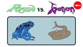 Poison vs venom Whats the difference  Rose Eveleth [upl. by Adniram]