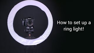 How To Set Up A Ring Light [upl. by Odraode599]