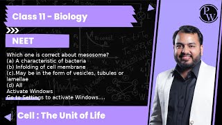 Which one is correct about mesosome a A characteristic of bacteria b Infolding of cell mem [upl. by Fendig204]