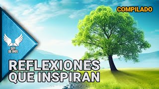 MARATÓN Reflexiones de la Vida  Dios Amor y Espiritualidad en Nuestro Diario Vivir  Soy De Dios [upl. by Melodee122]