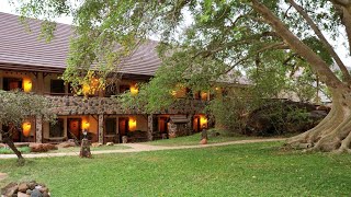 Kilaguni Serena Safari Lodge Tsavo Kenya [upl. by Ecilahc709]