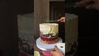 Let’s crumb coat a cake cakemaking cakedecoratingtutorials cakestyling cake [upl. by Enilemme]