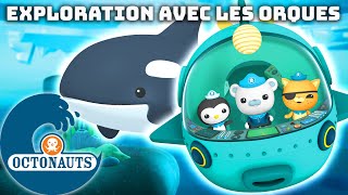 Octonauts  🤿 Exploration avec les orques 🐳  Compilation  Dessins animés pour enfants [upl. by Justino509]