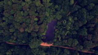 Epping Forest  An Aerial Experience [upl. by Lav]