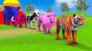 Long Slide Game With Elephant Gorilla Buffalo Hippopotamus Tiger  3d Animal Game  Funny 3d Animals [upl. by Deehahs212]